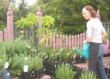 Plant Nursery All Landscape Supplies